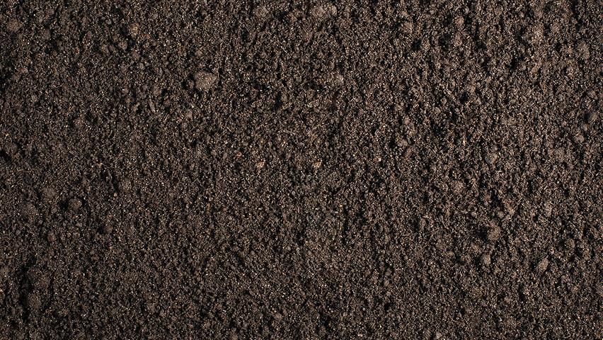 Smart Price Adaption