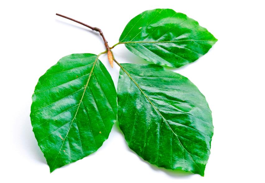 Høj komfort og bæredygtighed i nybyggeri